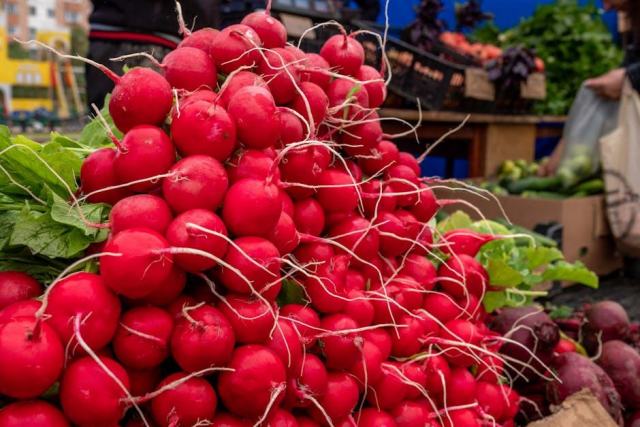 Convecteur inertie fluide caloporteur radiateur