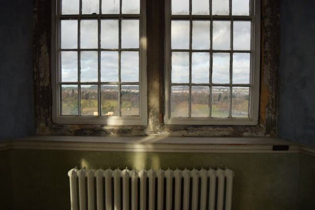 Convecteur inertie fluide caloporteur radiateur