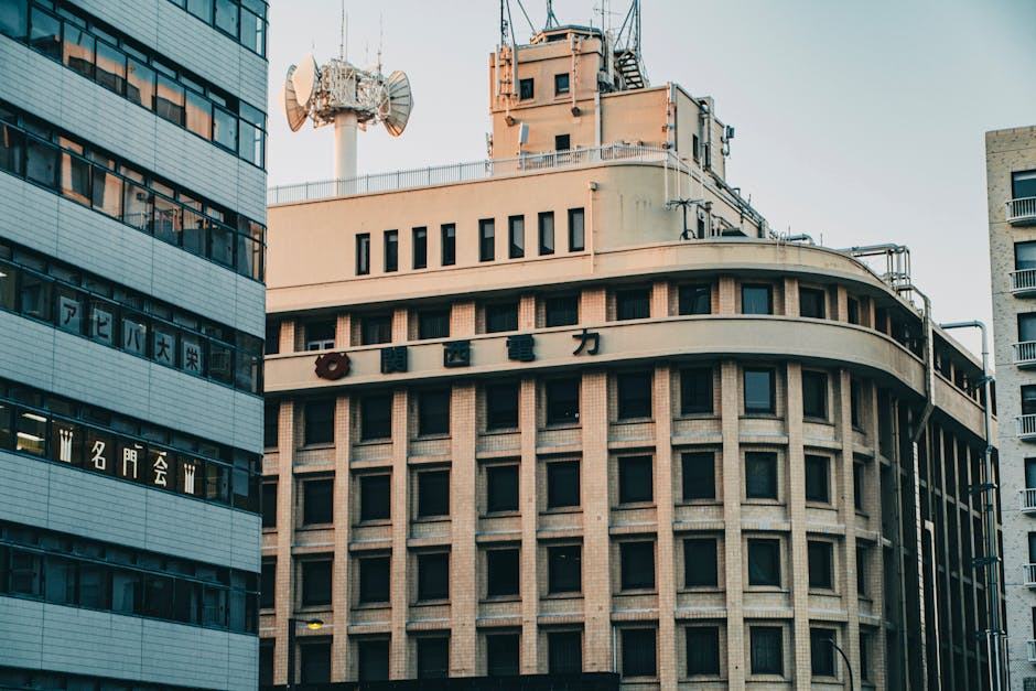 Faac 391 : matériel électrique professionnel en ligne