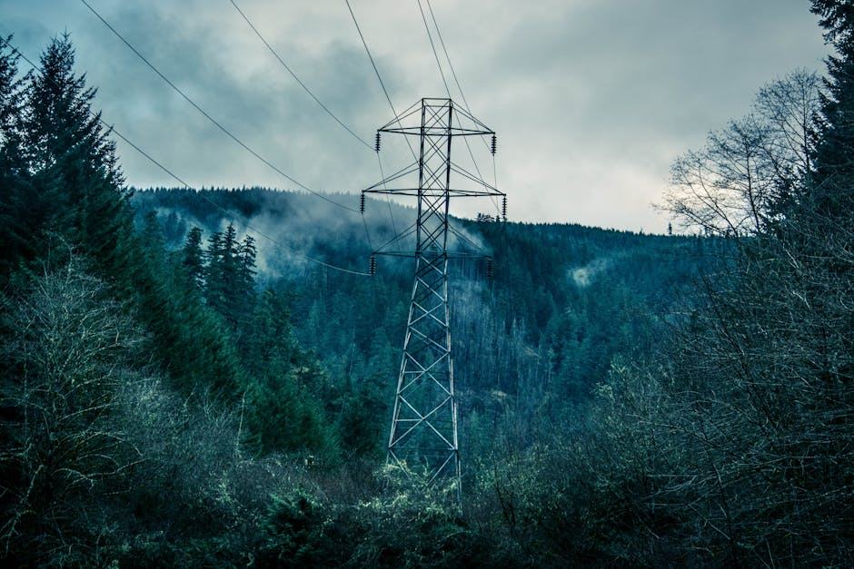 Acheter Duss 950W outil électroportatif professionnel pas cher