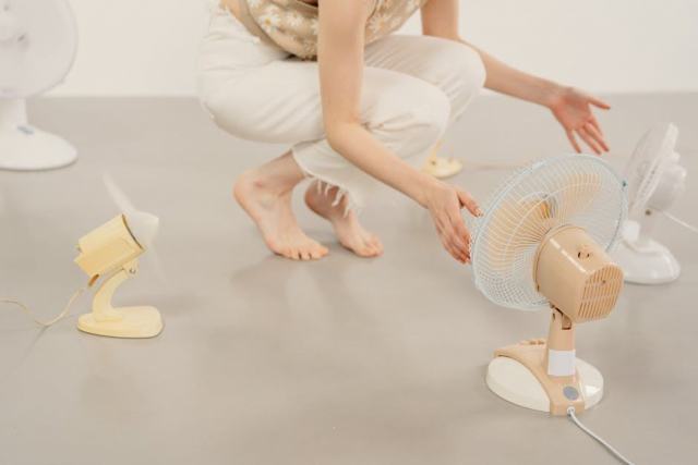 Radiateur inertie Thermor Mozart connecté 2000W : confort intelligent