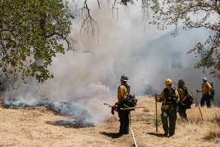 Alarme incendie type 4 Nugelec Planète 1 boucle avec DM (31217)